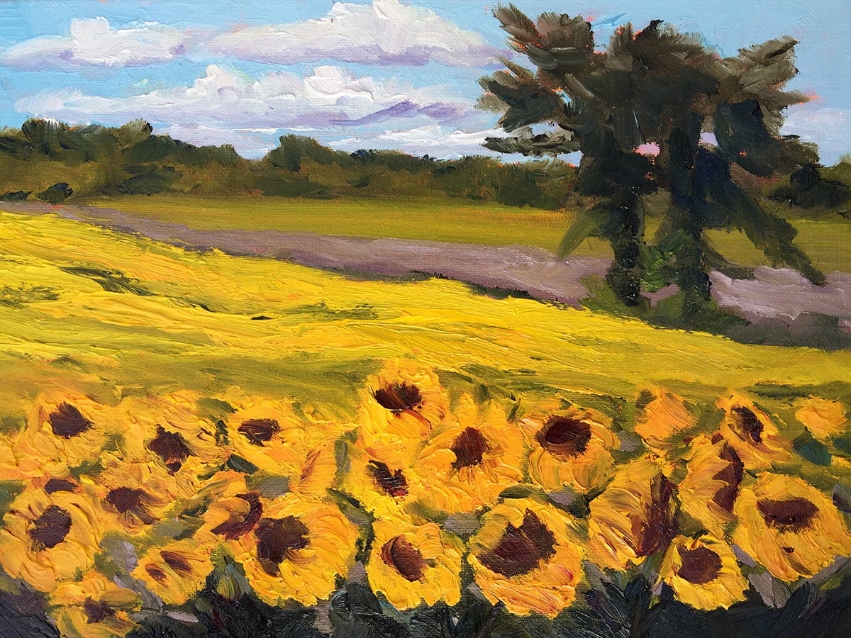 Sunflower Fields Ablaze - Painting by Stephanie Schlatter